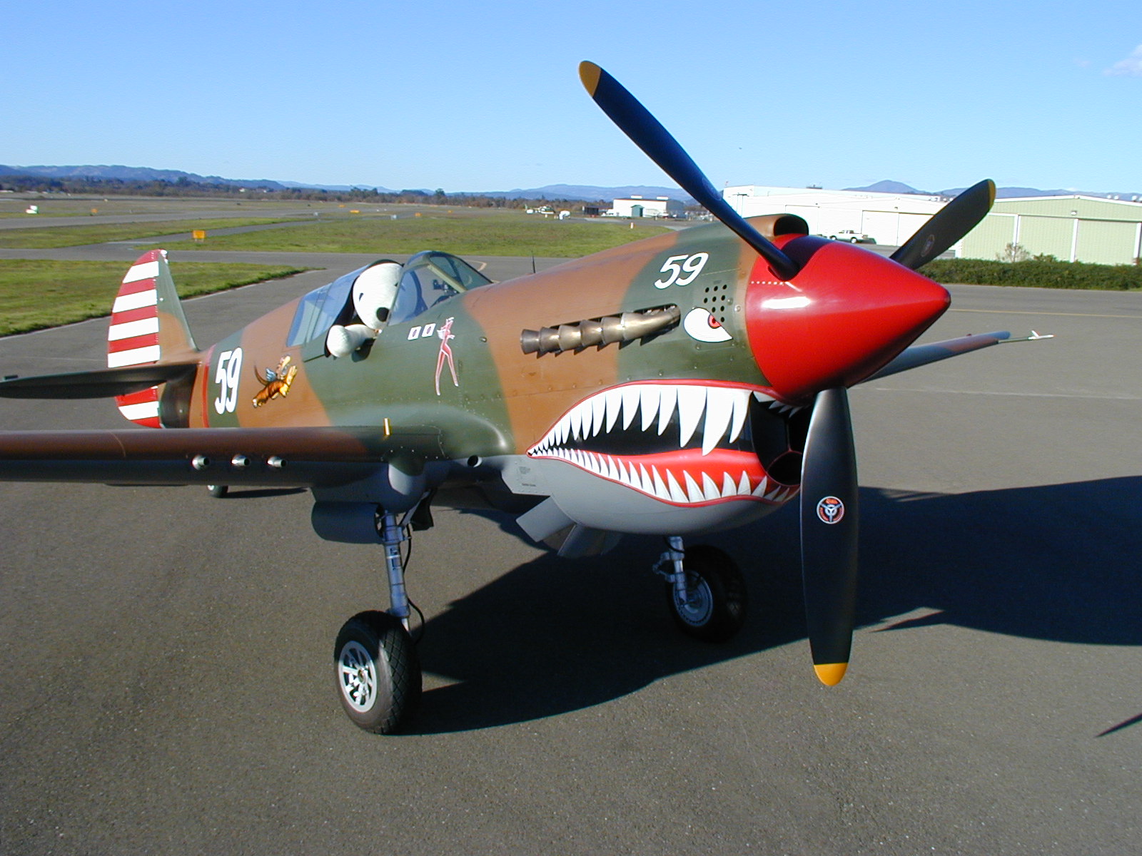 Curtiss P-40N-5 Kittyhawk.